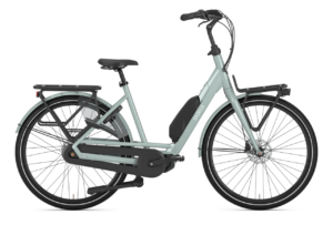 Gazelle Bloom C7