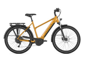 Gazelle Medeo T10 HMB 2024