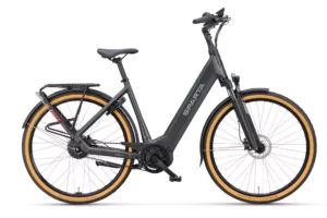 Sparta D-Rule Ultra 2024