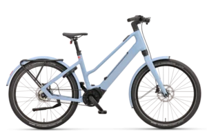 Batavus Razer E-go Exclusive