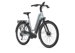 Gazelle Chamonix T10 HMS