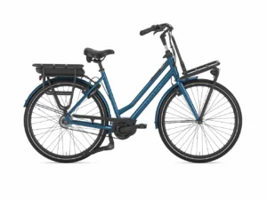 Gazelle HeavyDutyNL C5
