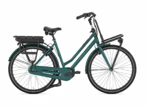 Gazelle Heavy Duty NL C7+